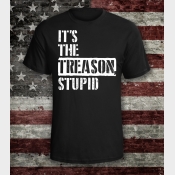 It's The Treason, Stupid Unisex Shirt. Protest Shirt. Resistance Shirt